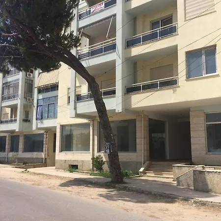 Daire Arbi's Pool View